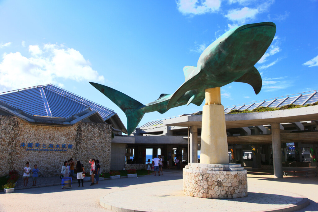 本部町の美ら海水族館